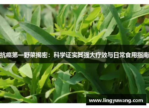抗癌第一野菜揭密：科学证实其强大疗效与日常食用指南