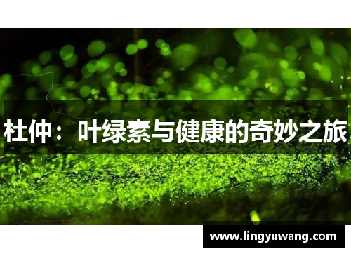 杜仲：叶绿素与健康的奇妙之旅