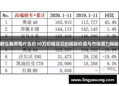 野生桑黄每斤售价30万价格背后的稀缺价值与市场潜力揭秘