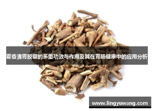 藿香清胃胶囊的多重功效与作用及其在胃肠健康中的应用分析