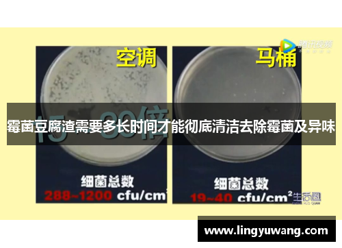 霉菌豆腐渣需要多长时间才能彻底清洁去除霉菌及异味