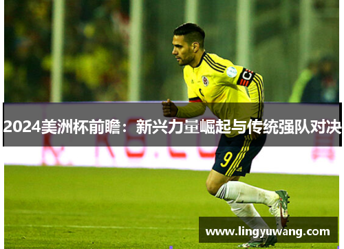 2024美洲杯前瞻：新兴力量崛起与传统强队对决